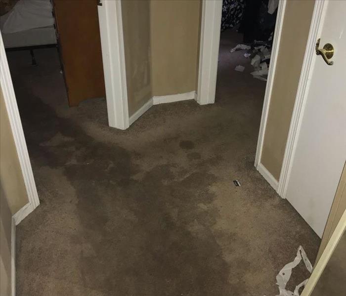 water damage to carpet and drywall in hallway of condo